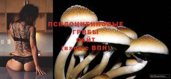 ешки Михайловка