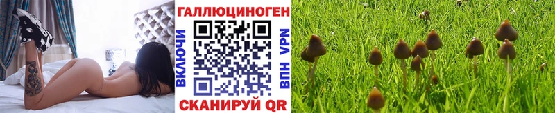 Псилоцибиновые грибы мицелий  хочу   Хасавюрт 